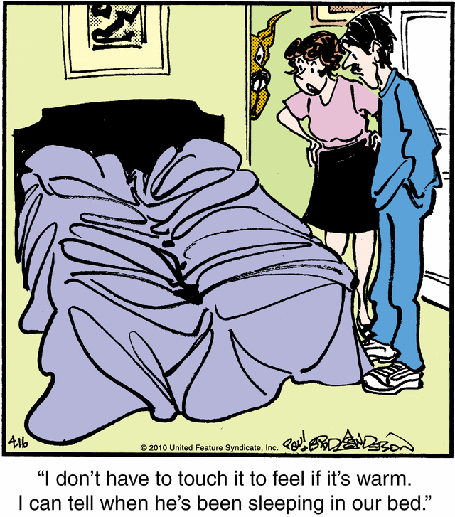 marmaduke